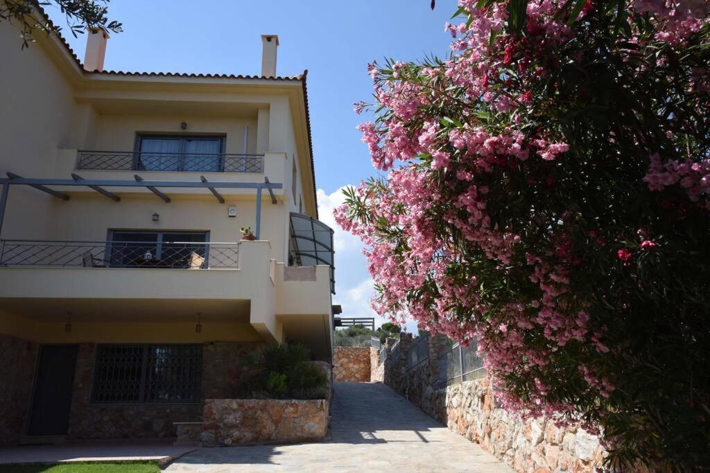 Seaside Villa AndroNikos  Amarinto Exterior foto