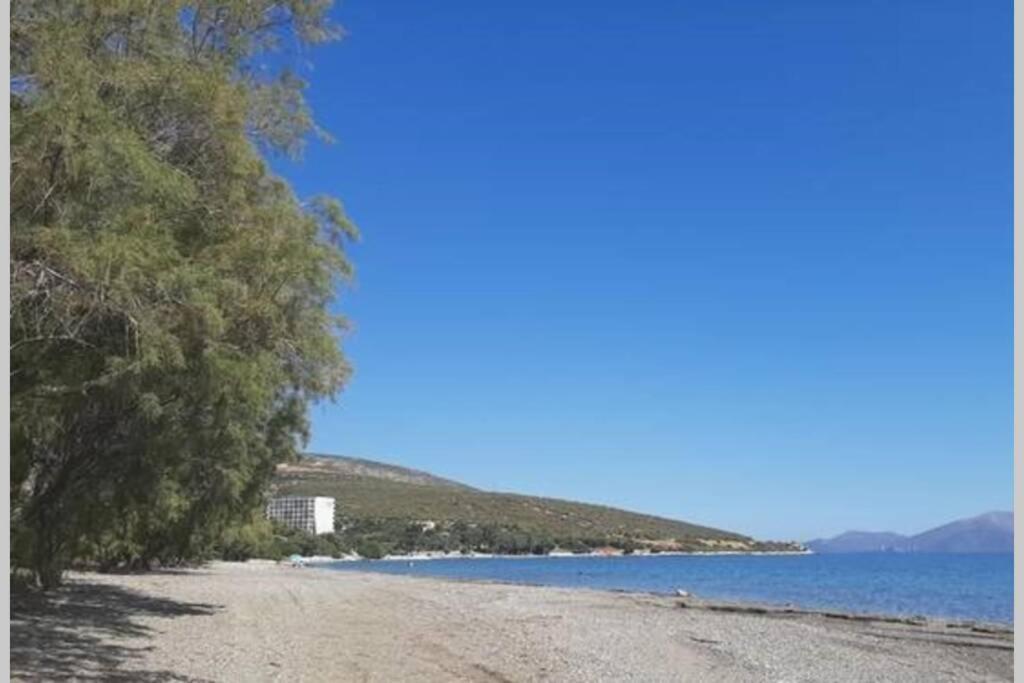 Seaside Villa AndroNikos  Amarinto Exterior foto