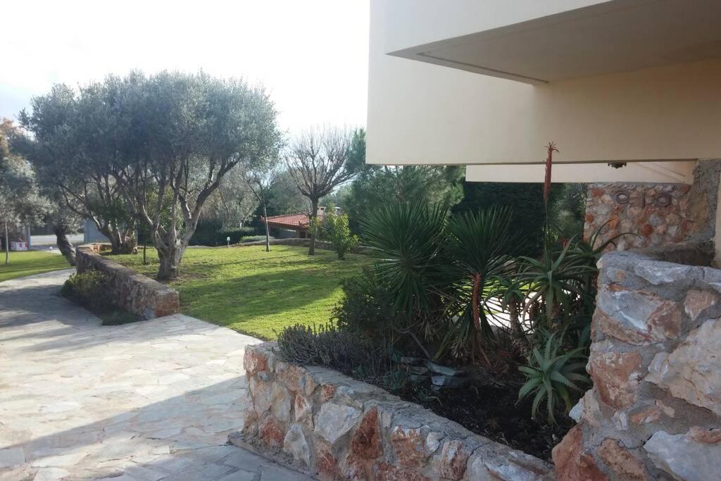 Seaside Villa AndroNikos  Amarinto Exterior foto