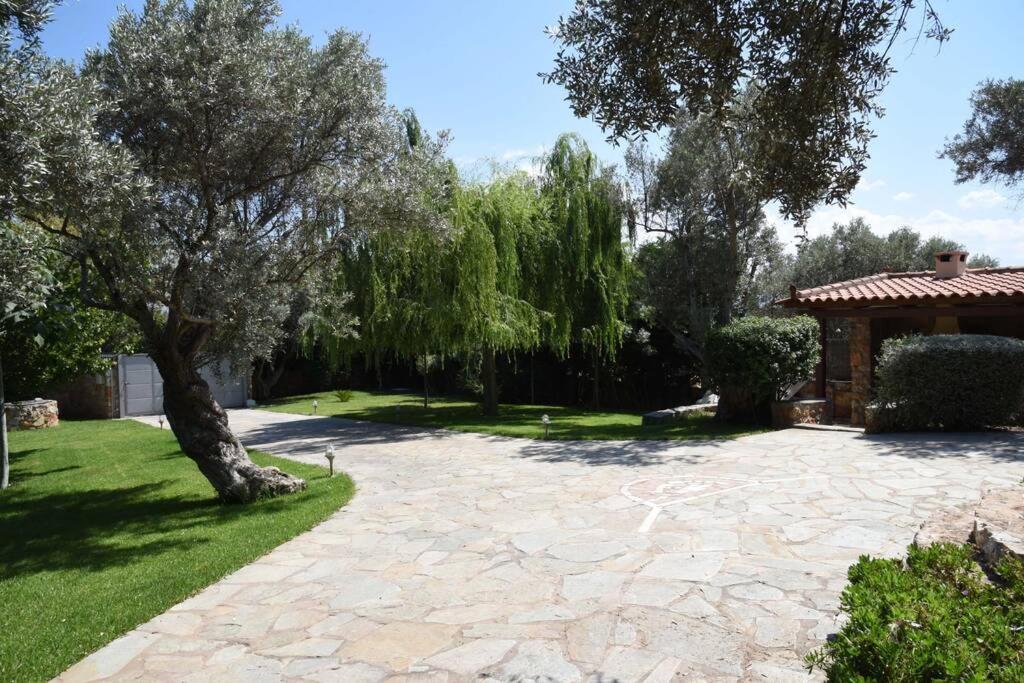Seaside Villa AndroNikos  Amarinto Exterior foto