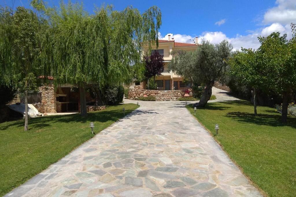 Seaside Villa AndroNikos  Amarinto Exterior foto