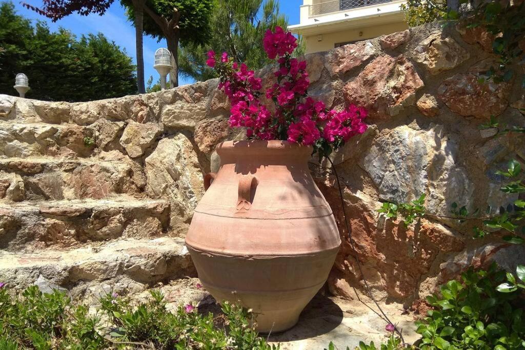 Seaside Villa AndroNikos  Amarinto Exterior foto