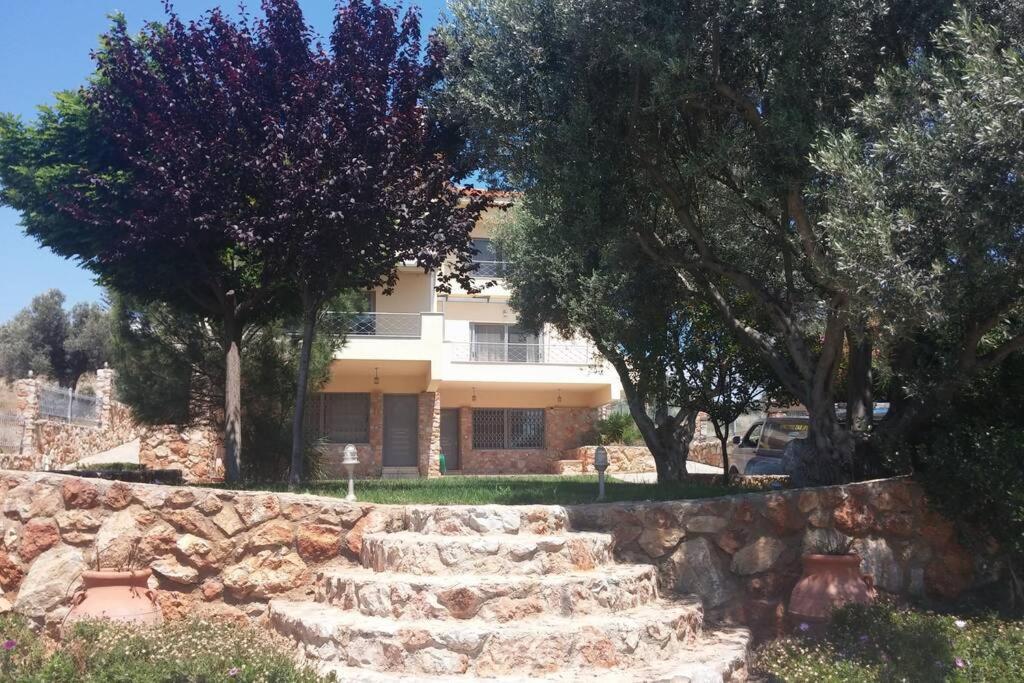 Seaside Villa AndroNikos  Amarinto Exterior foto