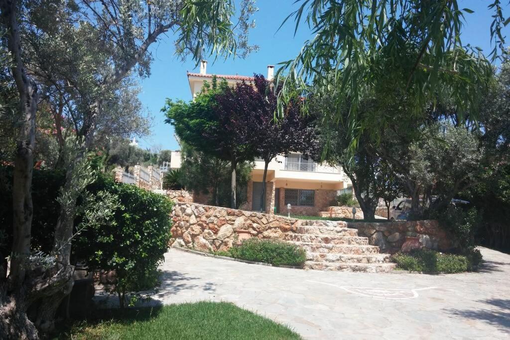 Seaside Villa AndroNikos  Amarinto Exterior foto