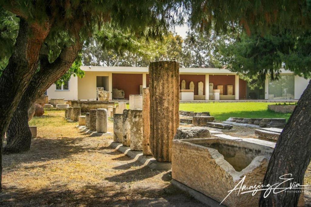 Seaside Villa AndroNikos  Amarinto Exterior foto