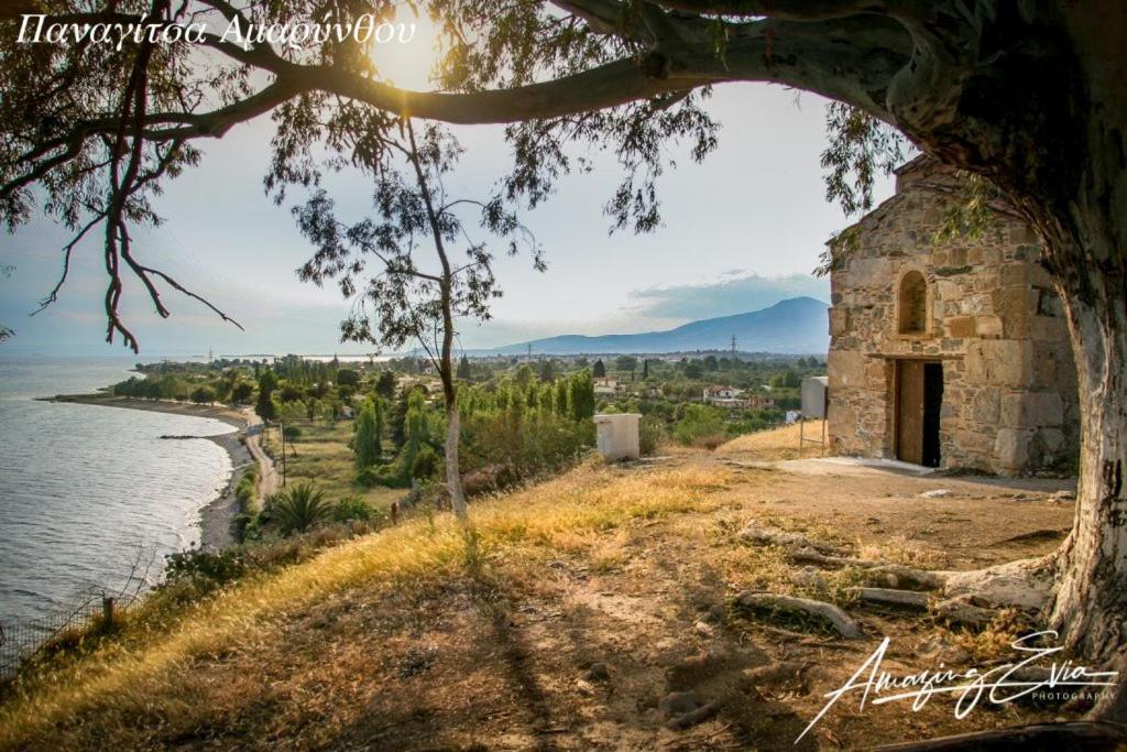 Seaside Villa AndroNikos  Amarinto Exterior foto